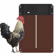 Dexxer Elektronička automatska vrata kokošinjca sa senzorom za sumrak 35x24cm smeđa