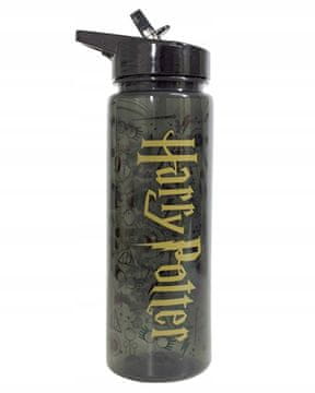 Kids Euroswan Harry Potter Hogwarts dječja boca za vodu 750 ml