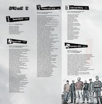 VIP (BF24) ELEKTRIČNE GITARE - Povijest (DVOSTRANA PLOŠČA U BOJI)