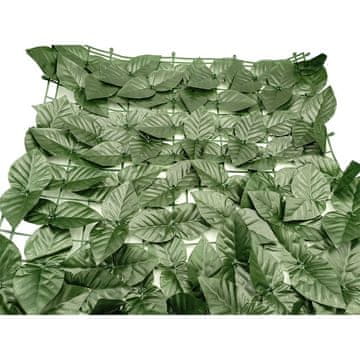 Bass Polska Mrežasta zavjesa od bršljana 100 x 300 cm