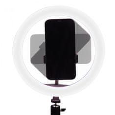 Ksix Studio live max LED ring tripod kit za smartphone, 1.6m