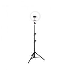 Ksix Studio live max LED ring tripod kit za smartphone, 1.6m