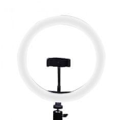Ksix Studio live max LED ring tripod kit za smartphone, 1.6m