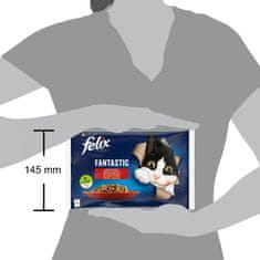 Felix Fantastic mokra hrana za mačke, govedina i piletina u želeu, 48x85g