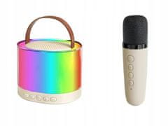 Verkgroup Set LED RGB baterijski karaoke zvučnik Bluetooth 5.3 2x mikrofon USB