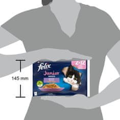 Felix Fantastic mokra hrana za mačke za juniore, piletina i losos u želeu, 48x85g