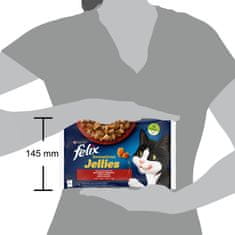 Felix Sensations mokra hrana za mačke, piletina i govedina s povrćem u želeu, 48x85g