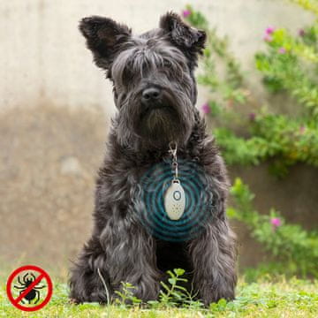 InnovaGoods Punjivo ultrazvučno sredstvo protiv parazita za kućne ljubimce PetRep