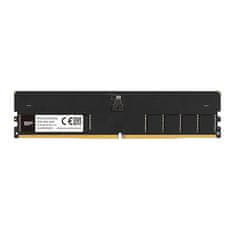 Silicon Power SP memorija (RAM), 16 GB (1x 16 GB), DDR5, 5600 MHz, CL46, UDIMM (SP016GBLVU560F02)