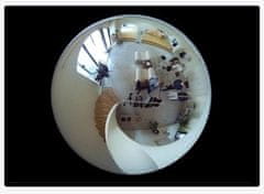 Reolink Fisheye P520 IP kamera, dvosmjerna komunikacija, pametni alarm, siva