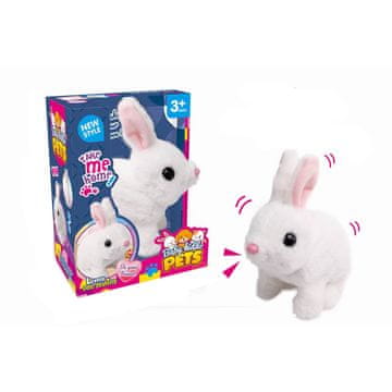 Denis My Pet, bijeli plišani zeko na baterije, 20cm, zvuk