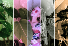 Rollei Mini digitalni fotoaparat - smeđi - ROLLEI12066