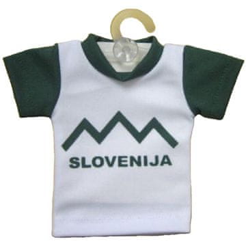 Denis Ukras za auto Slovenija