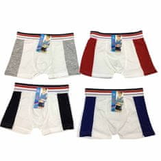 Denis Dječje gaćice, muške, 4/1 set, vel. 26cm, 8-10 god.