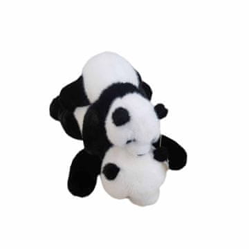 Denis Panda koji lezi 42cm