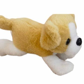 Denis Pas, leži 25cm