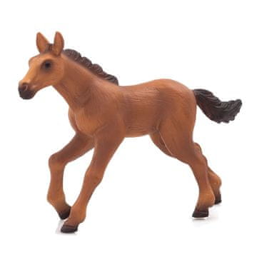 Denis Ždrijebe Hanoverian