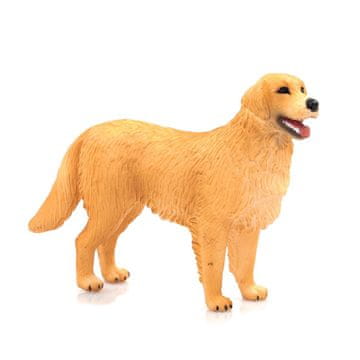 Denis Pas zlatni retriver