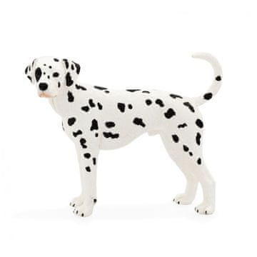 Denis Pas dalmatinac