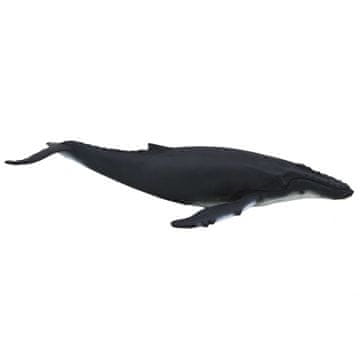 Denis Grbavi kit deluxe