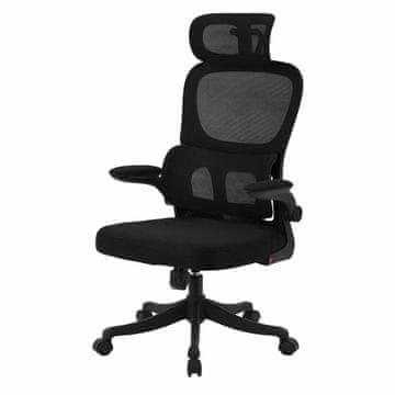 Denis Uredska stolica