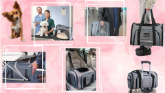 Mona Torba za mačke i pse, sklopivi transporter do 8 kg