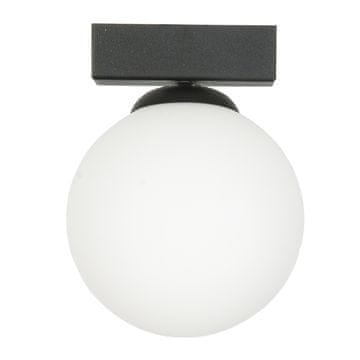 It Stropna lampa crna, stakleno sjenilo bijelo E14 ARIAL 13-355