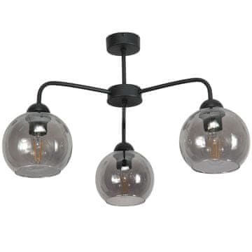 It Industrijska stropna lampa u potkrovlju crna ROGER 13-782
