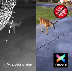 Reolink ALTAS B630 IP kamera + solarni panel, bijela, 2K Ultra HD