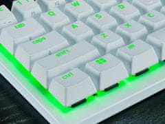 Razer Huntsman V3 Pro Mini tipkovnica, mehanička, gaming, bijela, RGB (RZ03-04991700-R3M1)