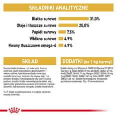 Royal Canin Royal Canin FBN Maine Coon Adult - suha hrana za odrasle mačke - 4kg