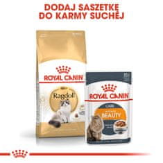 Royal Canin Karma royal canin fbn ragdoll (0,40 kg)