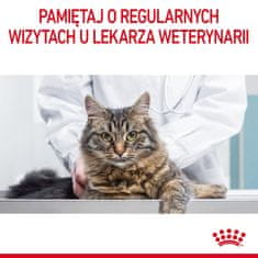 Royal Canin Royal Canin Digestive Care 0,4kg - suha hrana za mačke