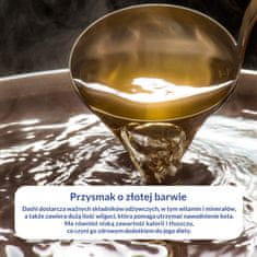 Inaba Inaba mačji dashi delicije svilenkasta piletina losos 40g