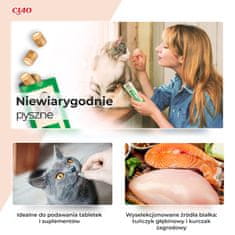Inaba Poslastica Churu Bites tuna&losos za mačke 3x10g