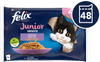 Felix Fantastic mokra hrana za mačke za juniore, piletina i losos u želeu, 48x85g