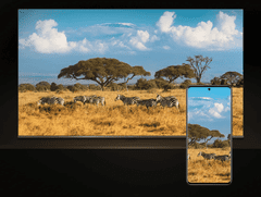 Xiaomi Mi TV stick 4K 2nd Gen