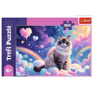 ZAGONETKA 160 KUĆNA MAČKA 13327