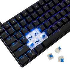 White Shark Tipkovnica GK-005122 HAMACHI Mehanicka RGB / HR - BLUE SW.