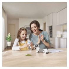 GP Dodatne AA baterije, 40 komada