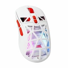 Baracuda miš crna BGM-101 PENGUIN-B Gaming
