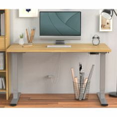 Digitus radna stanica-el.podizanje do 127cm visine srebrna DA-90435
