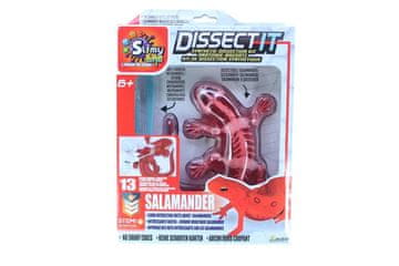 Slimy Močerad s punilom - komplet za sintetičku disekciju