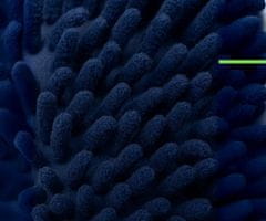 Dirt Devil Set za čišćenje automobila, 7 dijelova, ALL IN ONE (ED-DD-CLEAN-SET-6694)