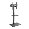 Gembird Stalak za TV TVS-55T-02 32" - 55"