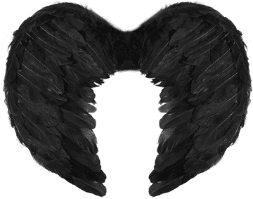 PartyPal KRILA Pali anđeo CRNI Gavran 45x35cm
