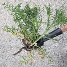 HOME & MARKER® Alat za korov s 4 kandže, učinkovito uklanjanje korova bez savijanja, lagan i prenosiv vrtni alat | ROOTNIK