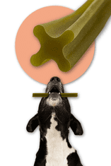 Mersjo Dentalna poslastica za pse Mersjo Dental Sticks - Zec Papaja & Brusnica (7 štapića)