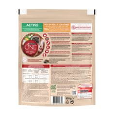 Purina ONE MINI/SMALL Aktivna suha hrana za pse do 10 kg, bogata piletinom i rižom, 8 x 800 g