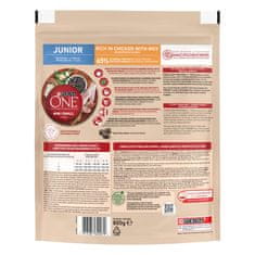 Purina ONE MINI/SMALL Junior suha hrana za štence do 10 kg, bogata piletinom i rižom, 8x800g